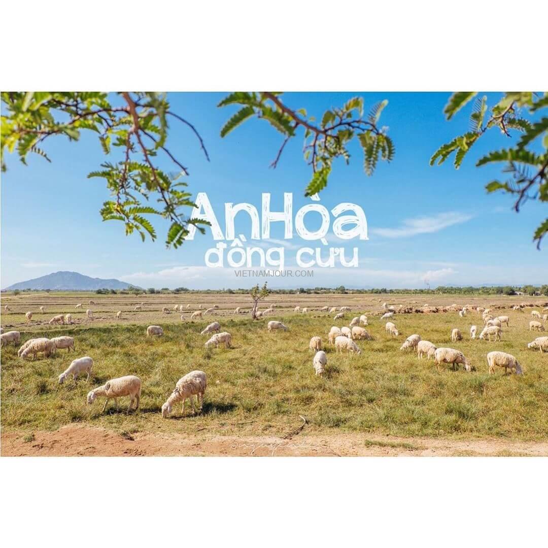 Đồng Cừu An Hòa Đồng cừu An Hòa