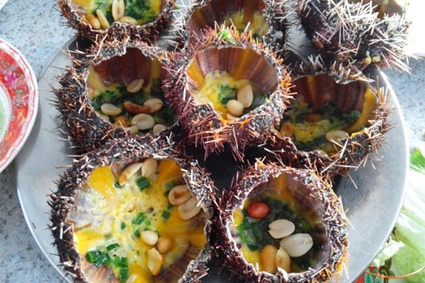 ăn gì ở Phan Rang với món nhum biển