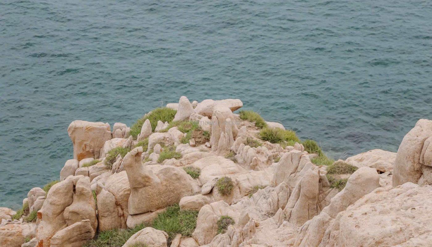 khám phá công viên đá Ninh Thuận