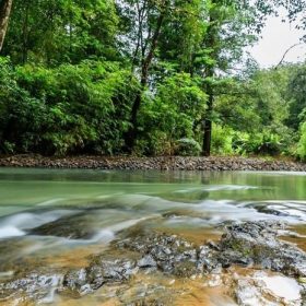 vườn quốc gia Phước Bình