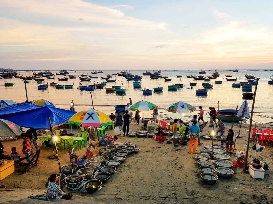 Ghé chợ làng chài Mũi Né khám phá cuộc sống của người dân miền biển