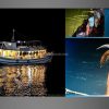 Tour Câu Mực Vĩnh Hy