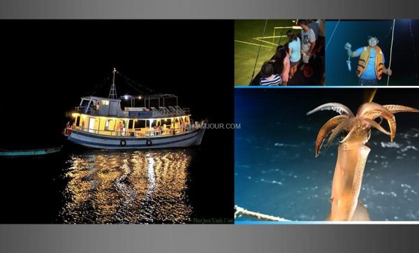 Tour Câu Mực Vĩnh Hy
