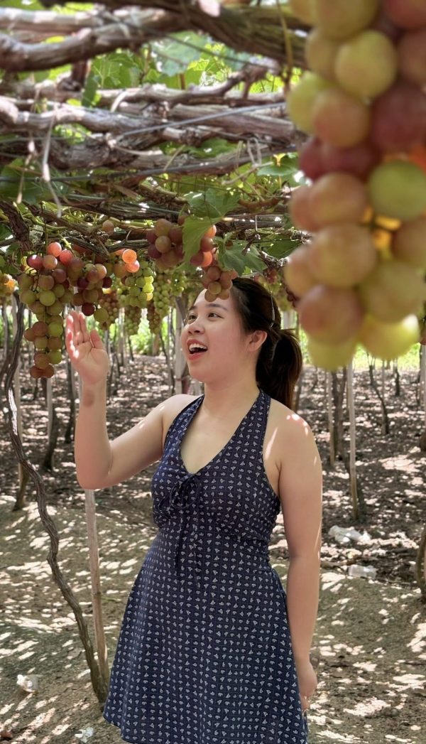 tour Vĩnh Hy Ninh Chữ khám phá vườn nho