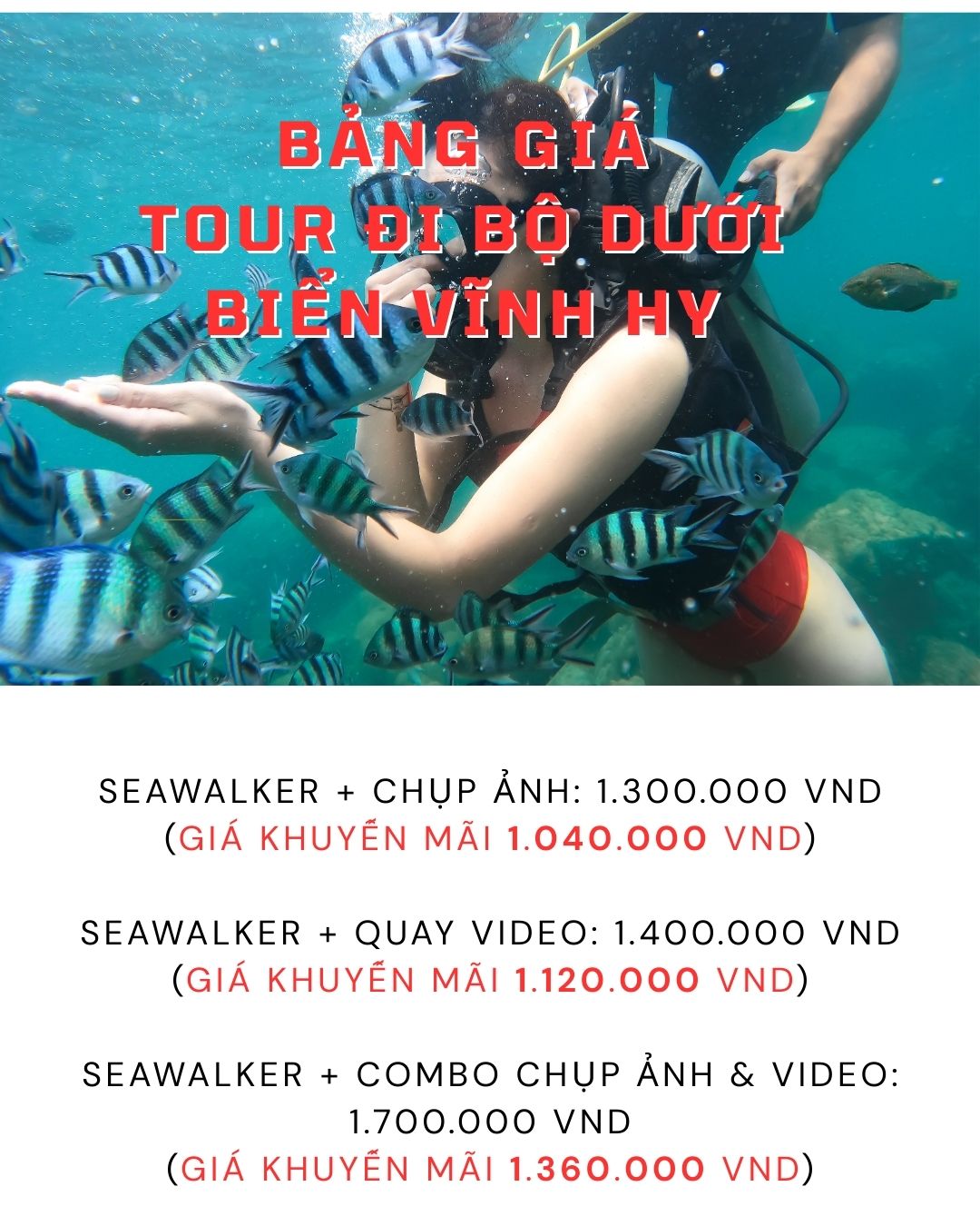 bảng giá tour đi bộ dưới biển Vĩnh Hy