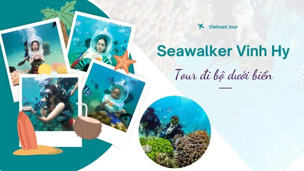 tour đi bộ dưới biển Vĩnh Hy - Seawalker Vinh Hy