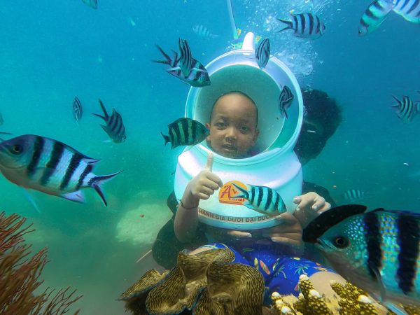 tour đi bộ dưới biển Vĩnh Hy - Seawalker Vinh Hy