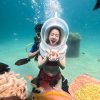 tour đi bộ dưới biển Vĩnh Hy - Seawalker Vinh Hy