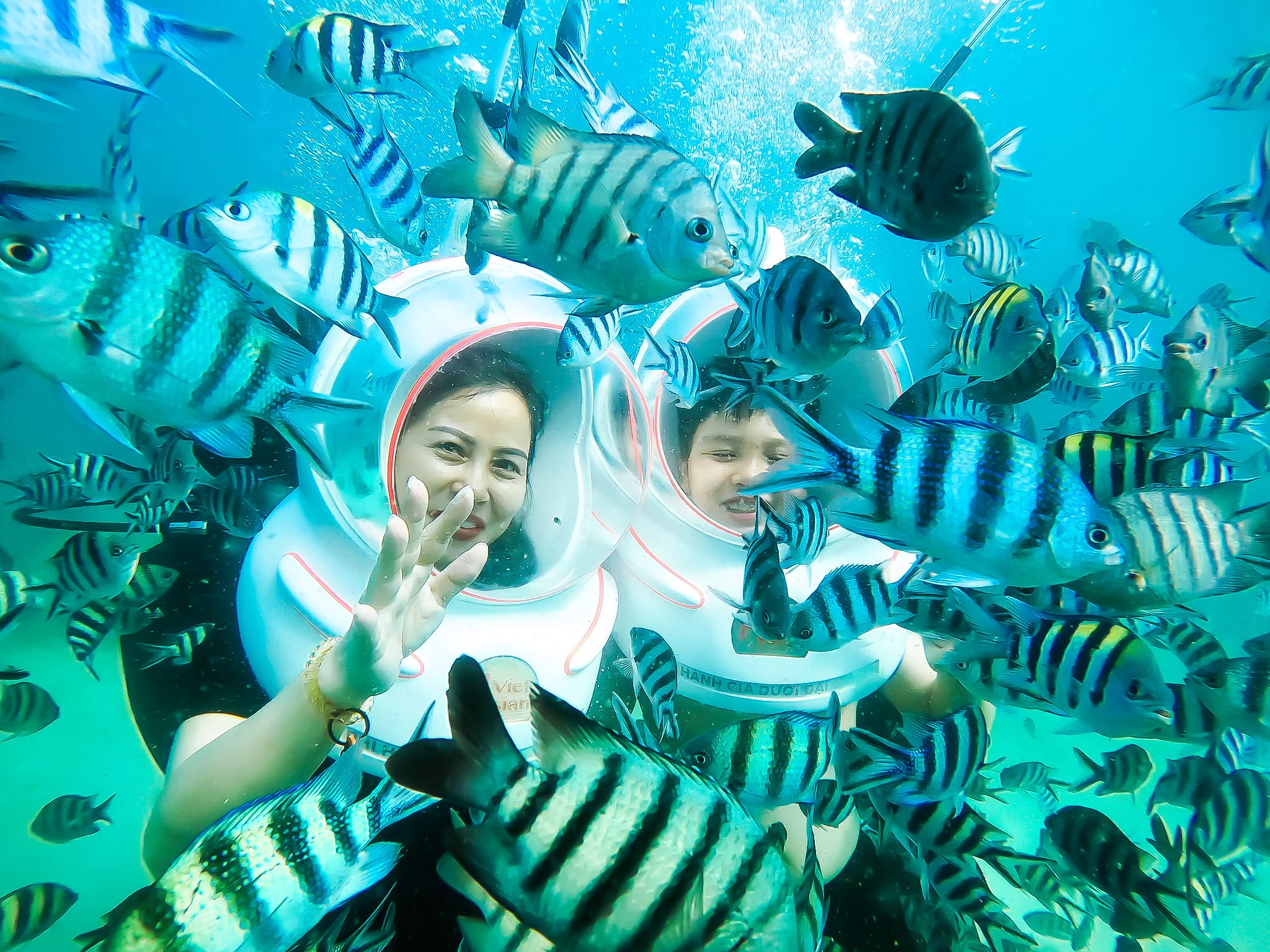 tour đi bộ dưới biển Vĩnh Hy