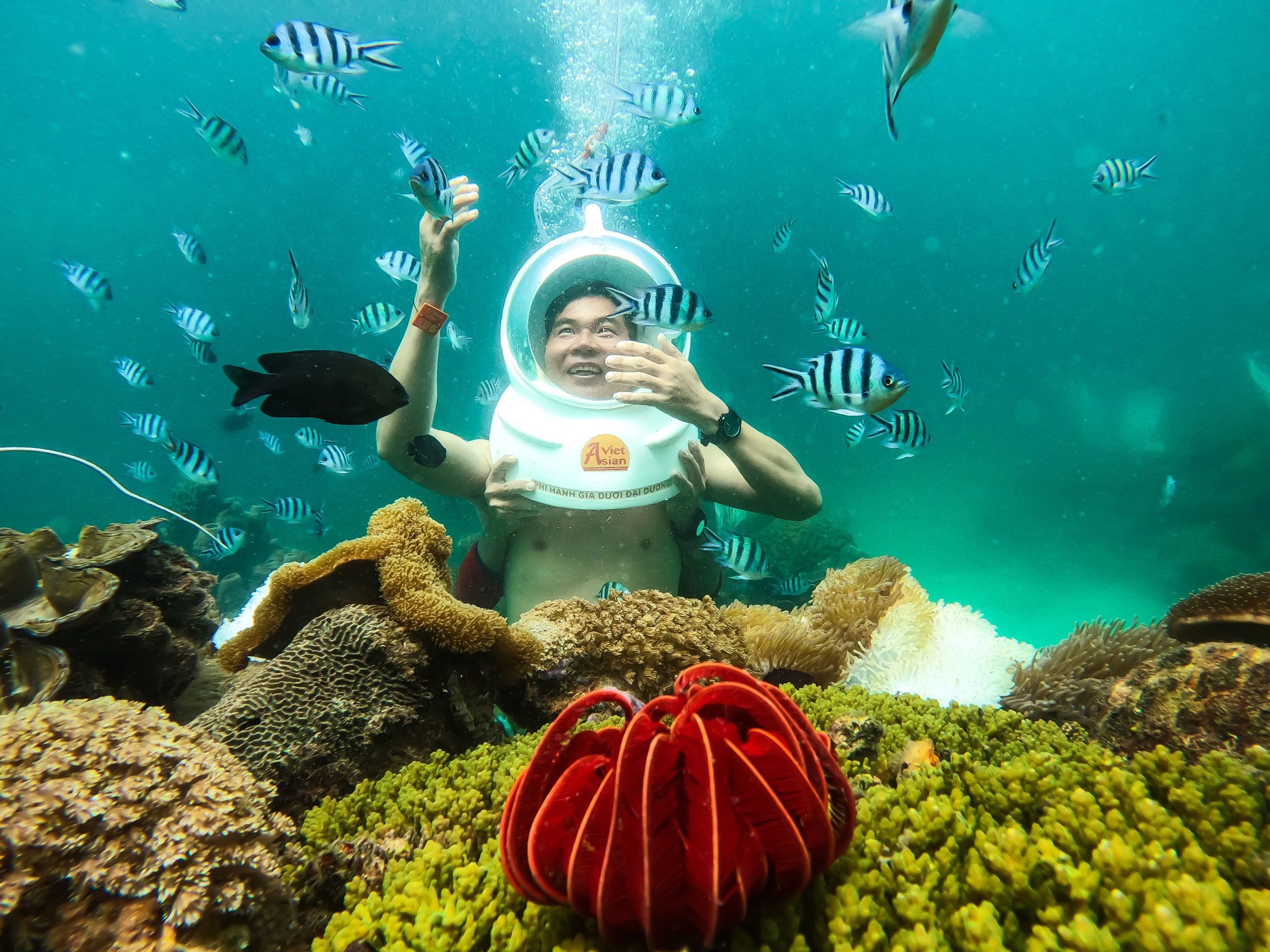 Seawalker Vinh Hy