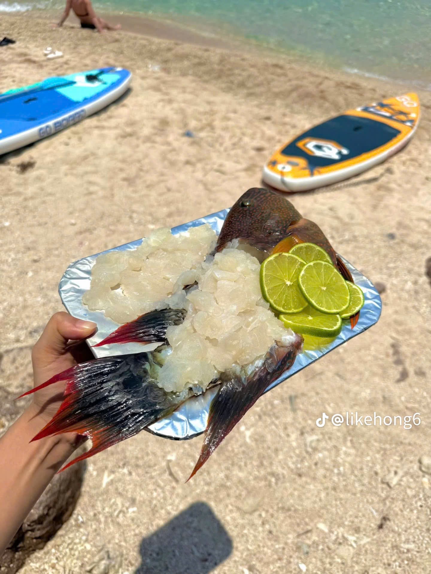 Sashimi độc quyền Sashimi độc quyền