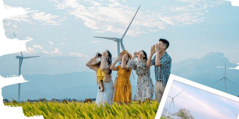 Cánh đồng điện gió Đầm Nại
