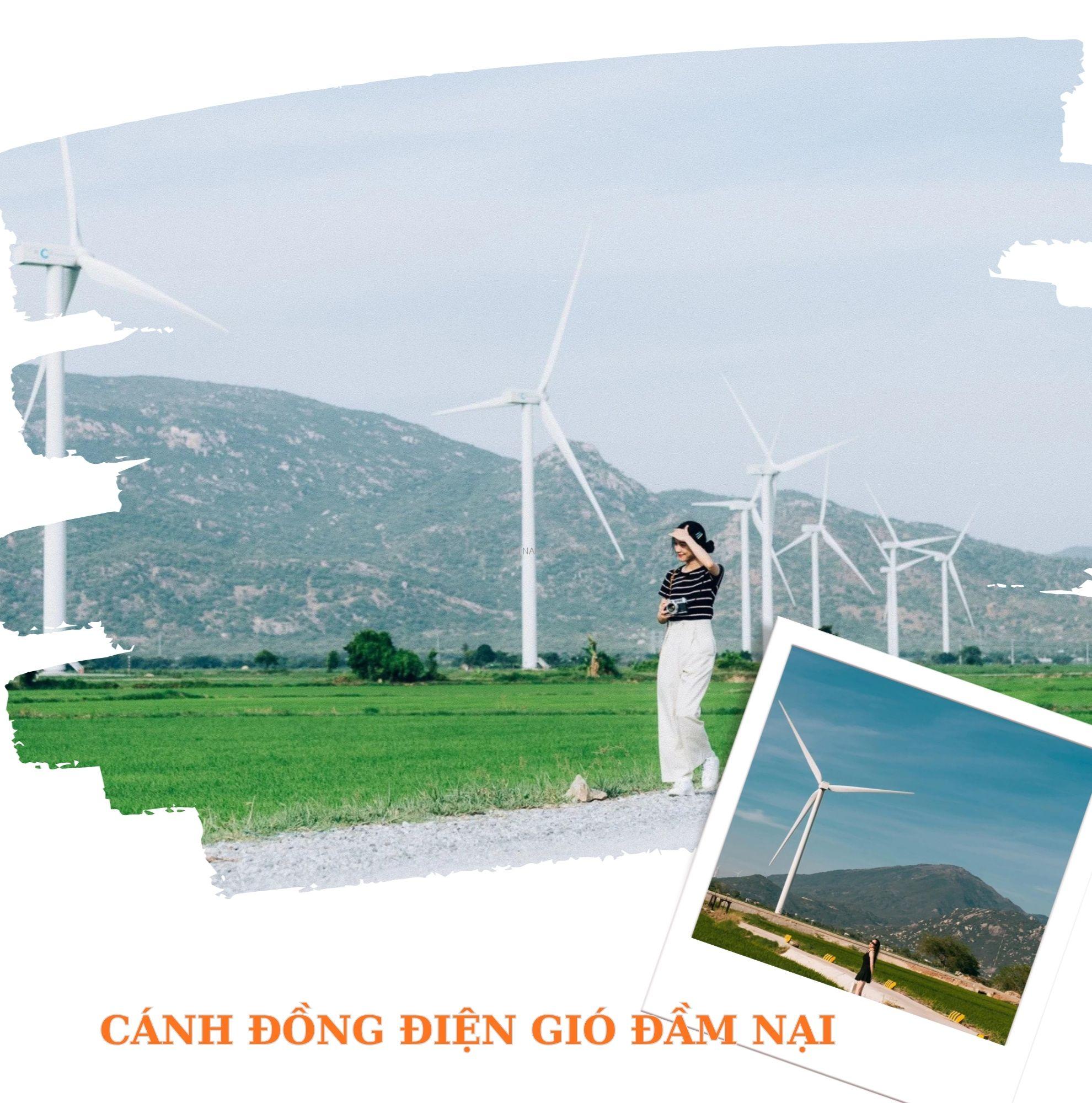 Du khách check-in trên con đường nhỏ giữa cánh đồng điện gió Đầm Nại