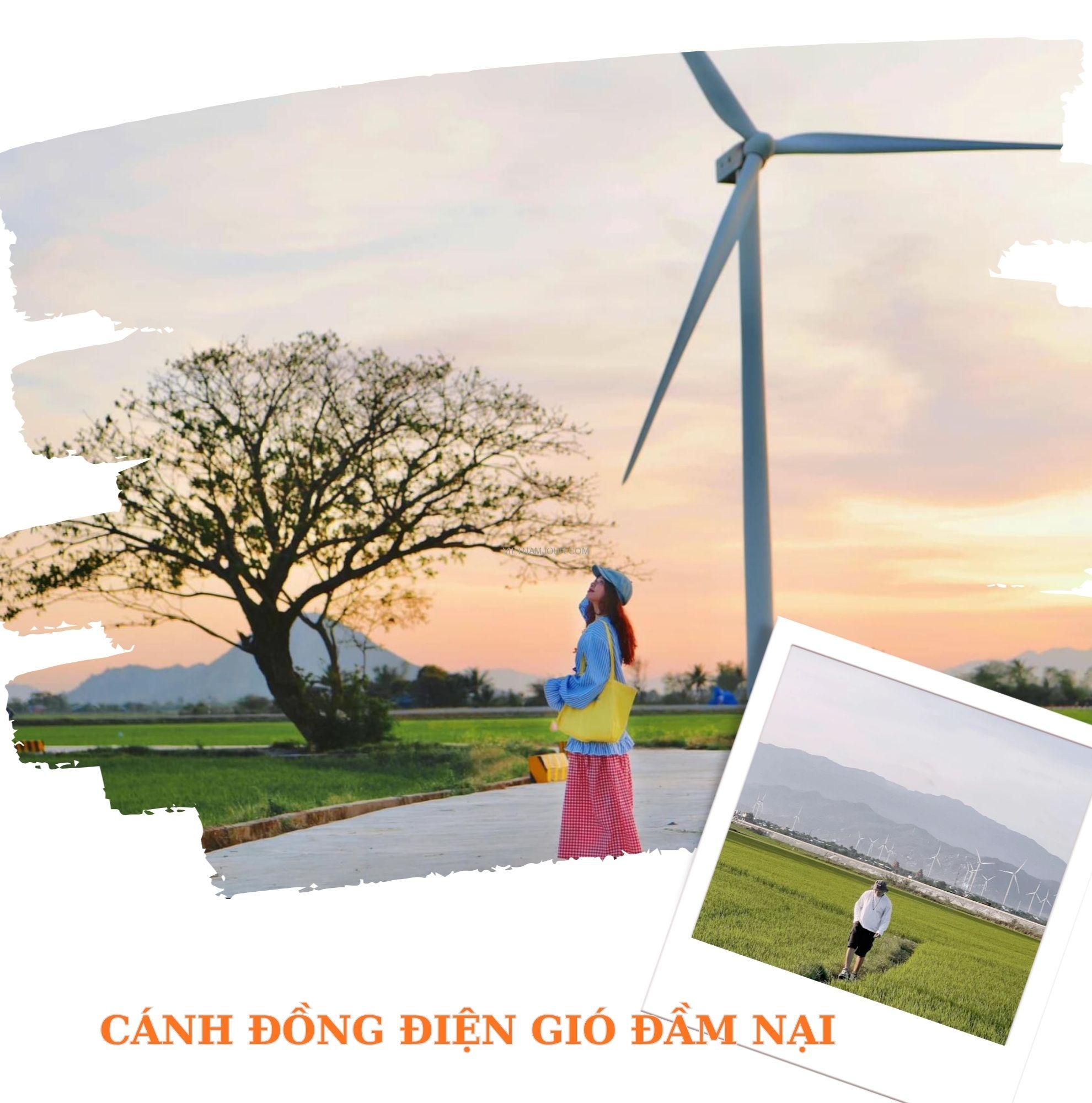 on đường bê tông dẫn vào cánh đồng điện gió Đầm Nại